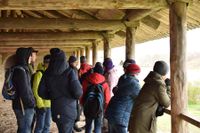 Погружение в историю 8-1 и 8-4 классов